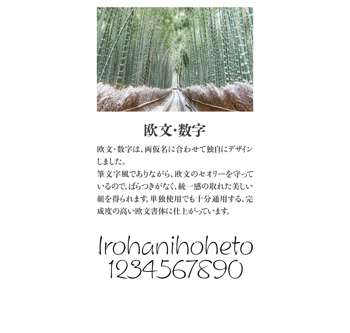 奔行2かな-Lの特長 説明文：欧文・数字