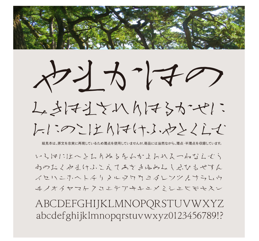 松葉かなStd-Lの組見本横組み