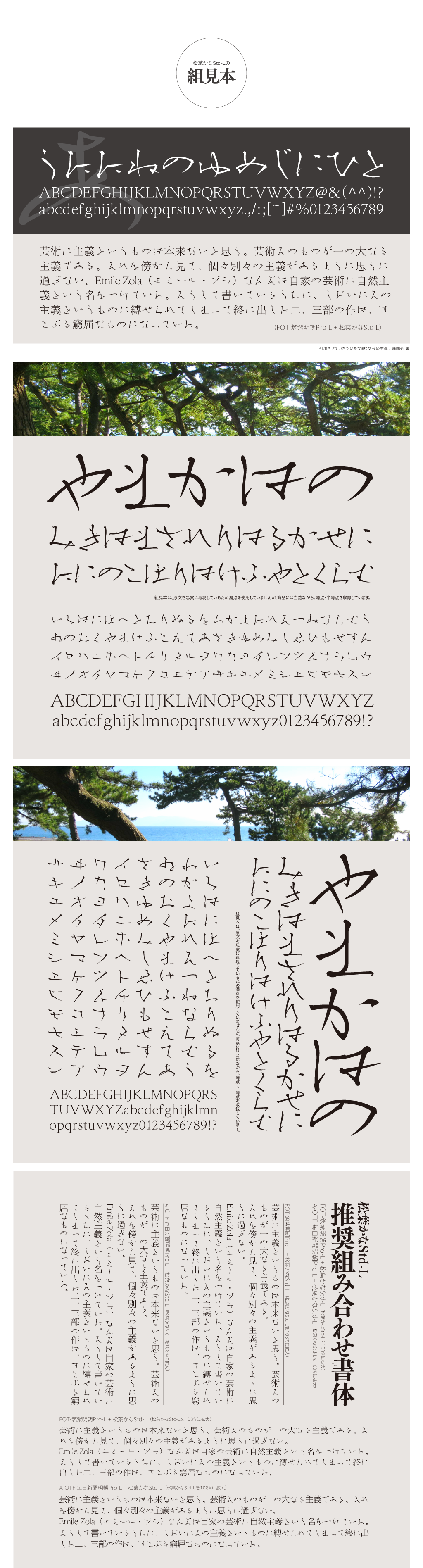 松葉かなStd-L / 松葉かなTTF-Lの組見本と4種類の推奨組み合わせ書体紹介