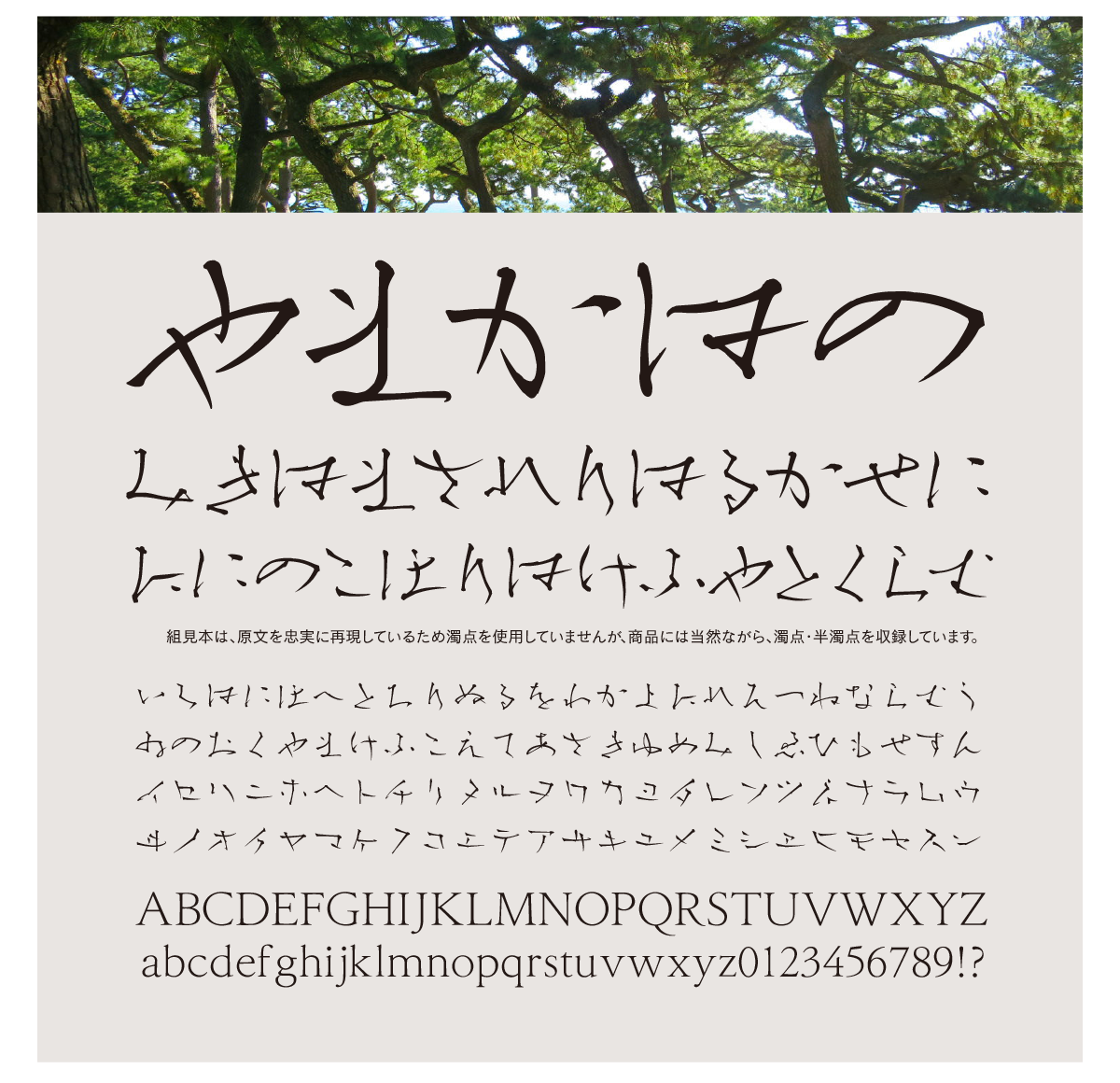 松葉かなStd-Lの組見本横組み