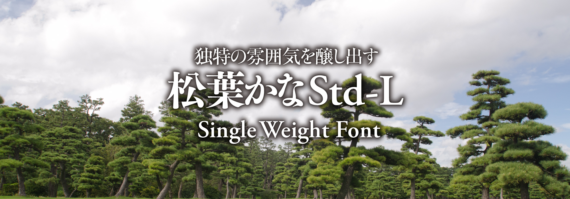 独特の雰囲気を醸し出す 松葉かなStd-L Single Weight Font