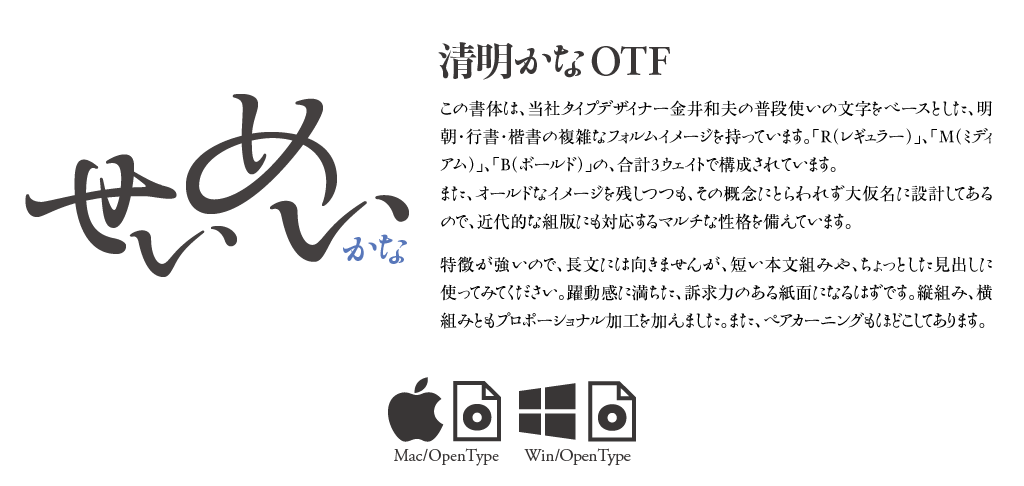 躍動感に満ちた、訴求力のある紙面に