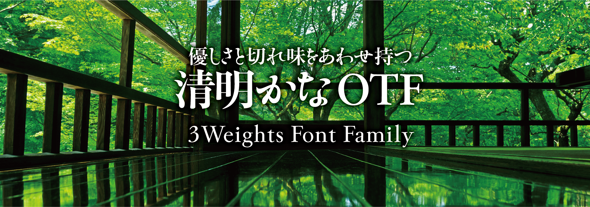 優しさと切れ味をあわせ持つ 清明かな 3 Weights Font Family