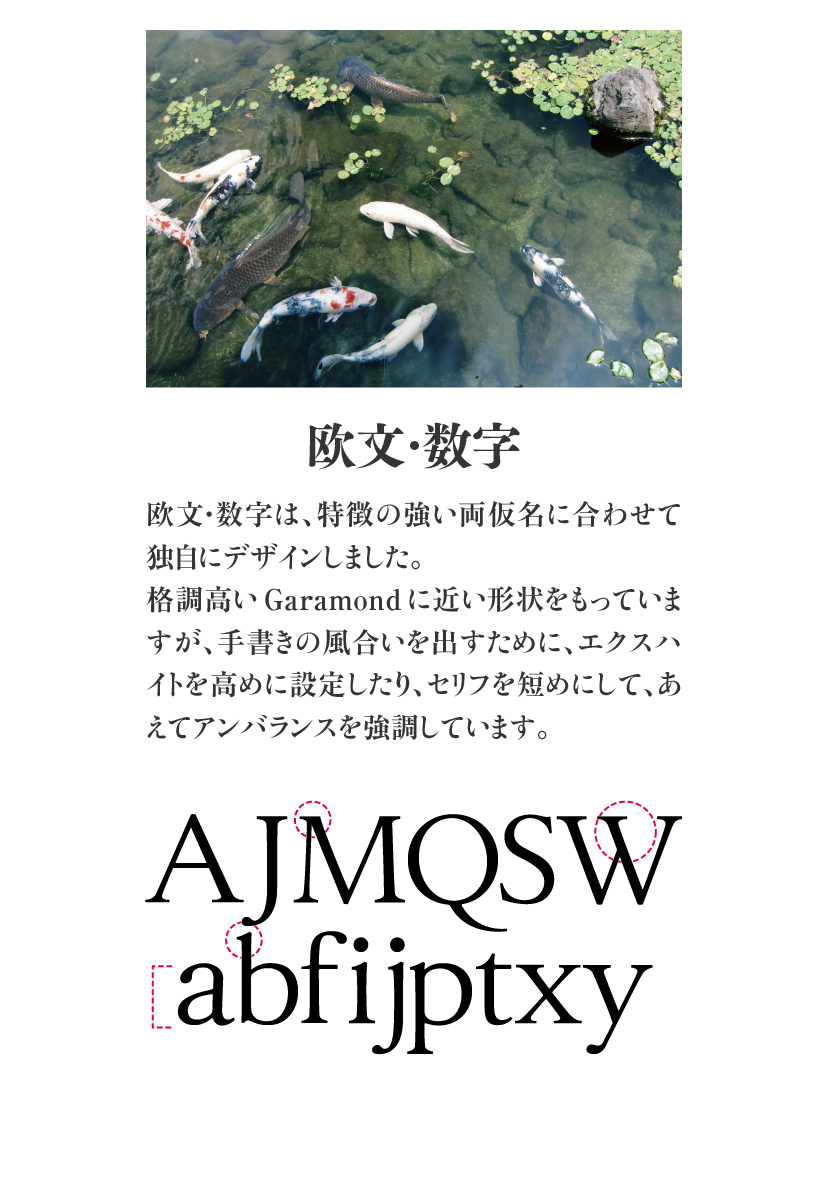 勢蓮明朝仮名Classicファミリーの特長 説明文：欧文・数字