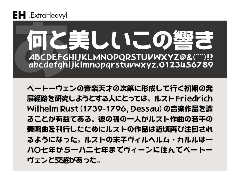 和音ファミリーの組見本 和音 EH（エクストラヘビー）