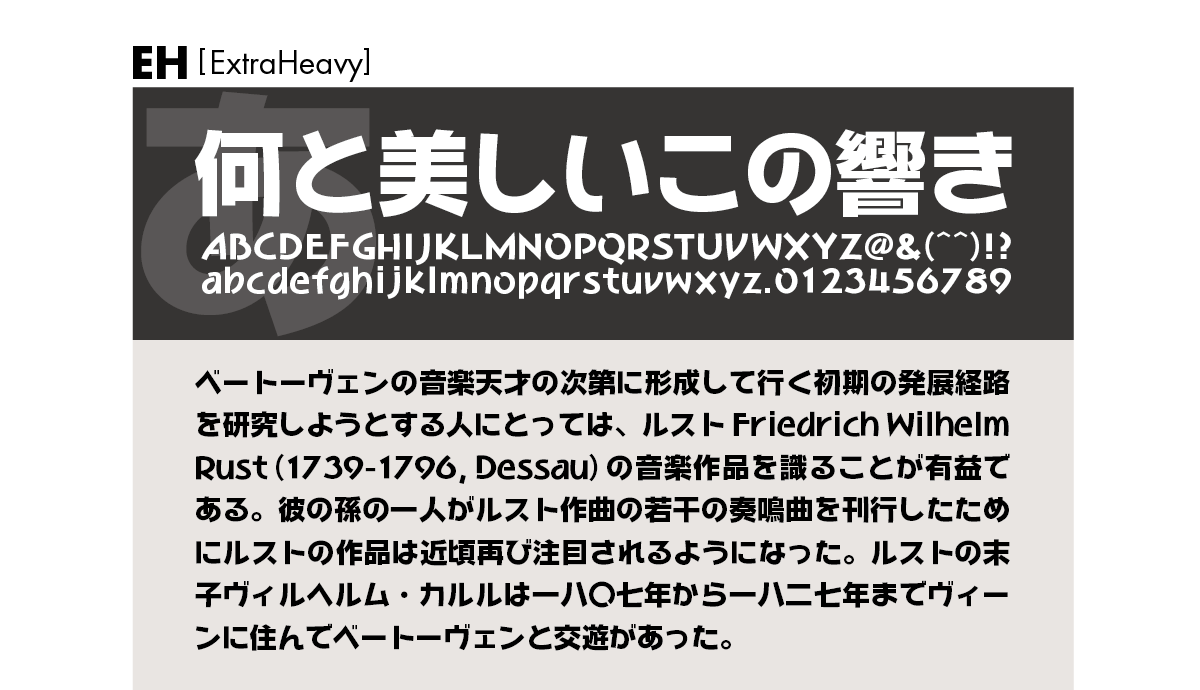 和音ファミリーの組見本 和音 EH（エクストラヘビー）