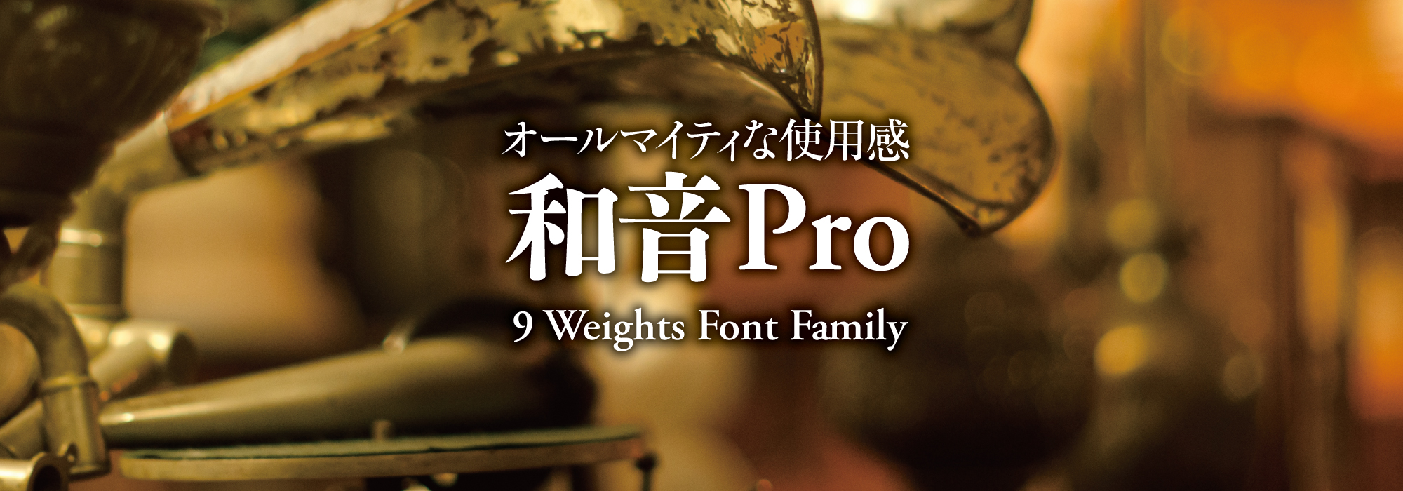 オールマイティな使用感 和音Pro/和音TTF 9 Weights Family